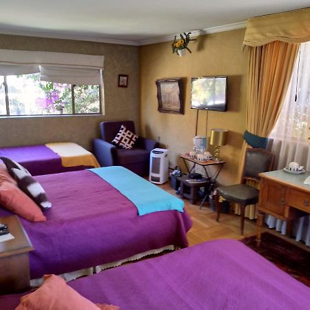 Bed & Breakfast Blumen Haus Santiago de Chile Exterior foto