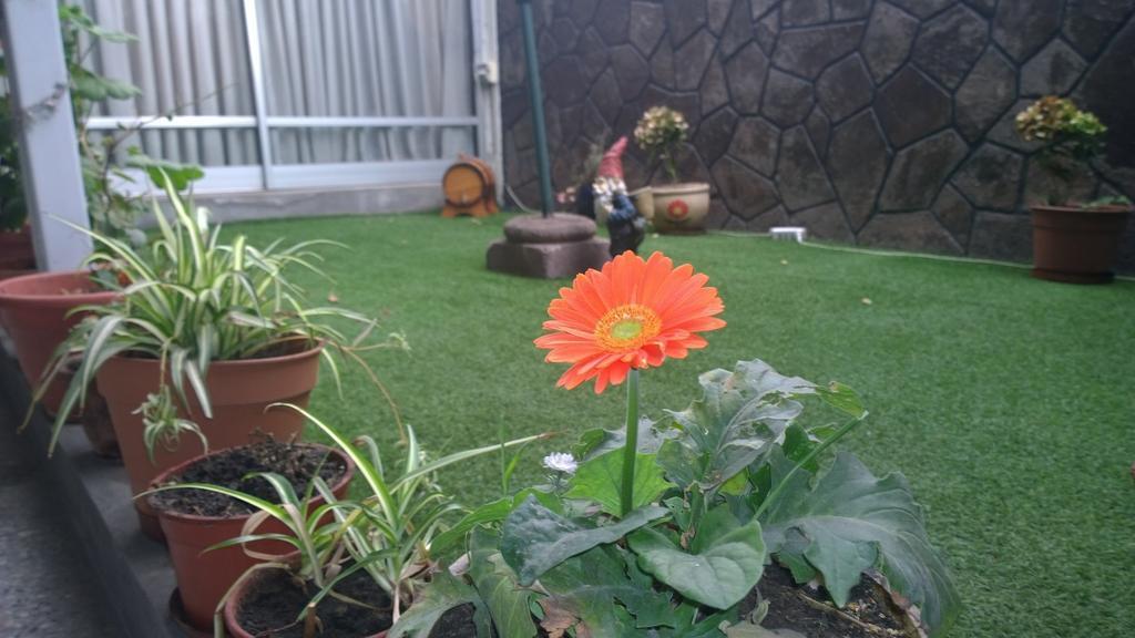 Bed & Breakfast Blumen Haus Santiago de Chile Exterior foto